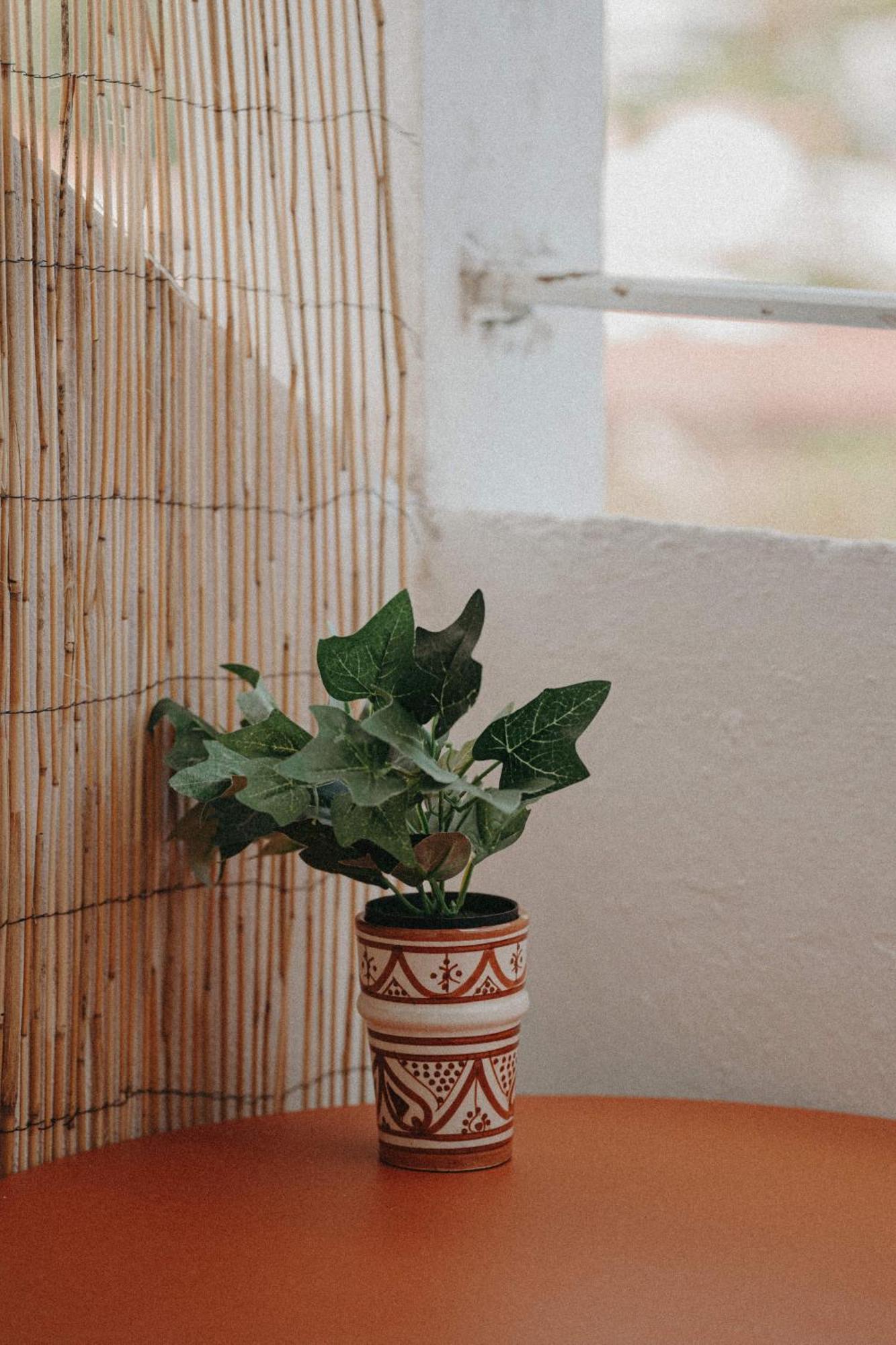 Ti Studio Boheme Le Gosier  Dış mekan fotoğraf