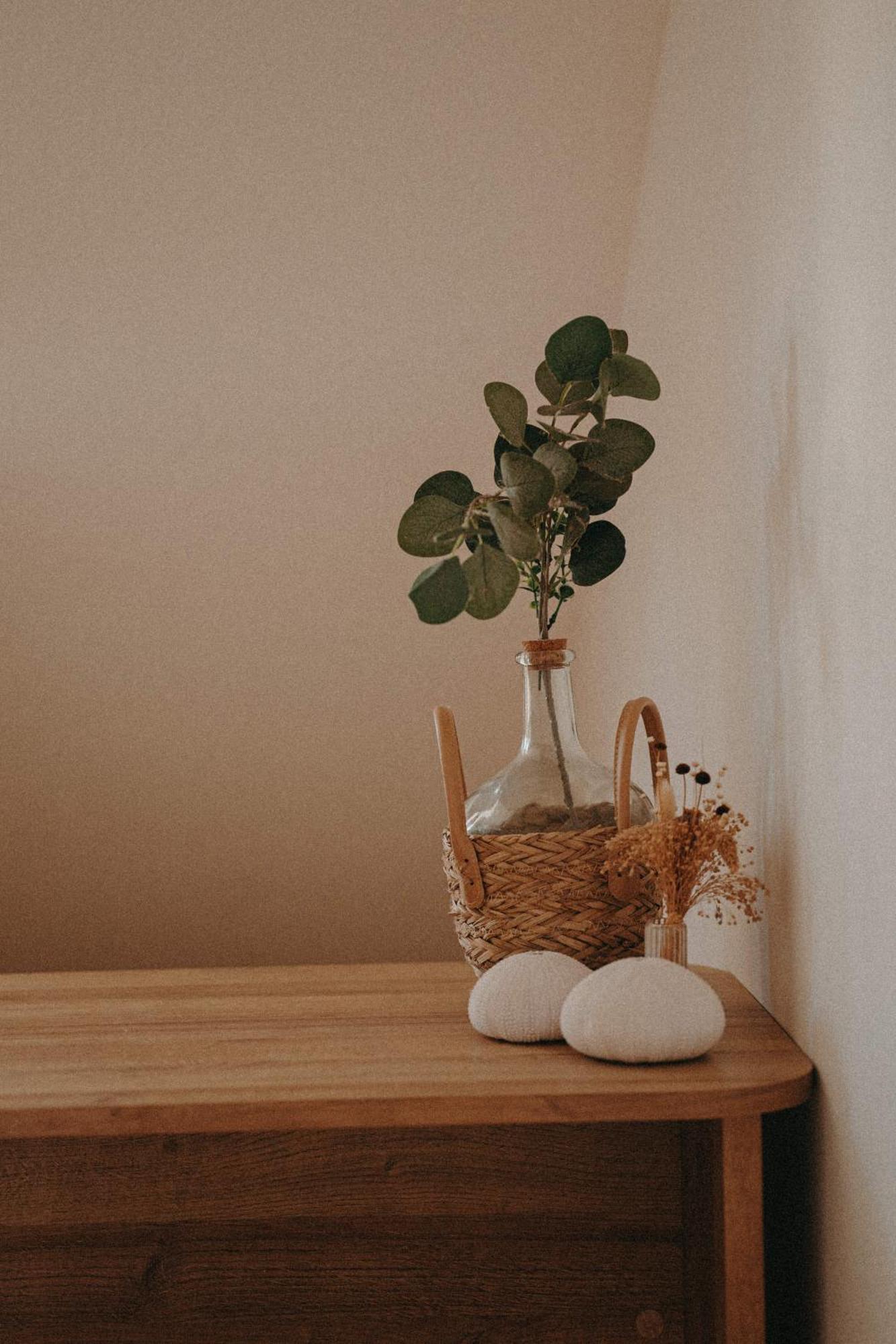 Ti Studio Boheme Le Gosier  Dış mekan fotoğraf